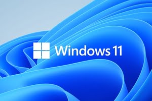 Windows 11 をすぐにダウンロードします: Microsoft サイト経由 (方法 1)