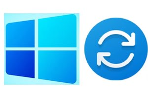 Windows 11 ドライバー (ハードウェア コンポーネント) を更新する